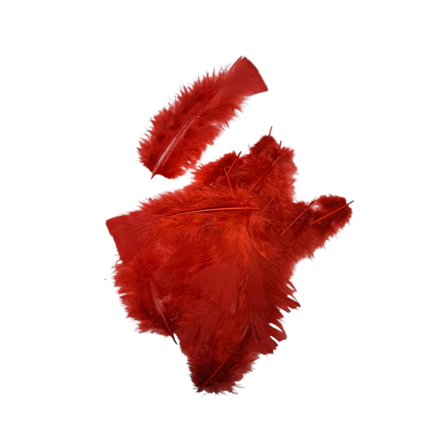 Turkey Feathers-1.75g Pack