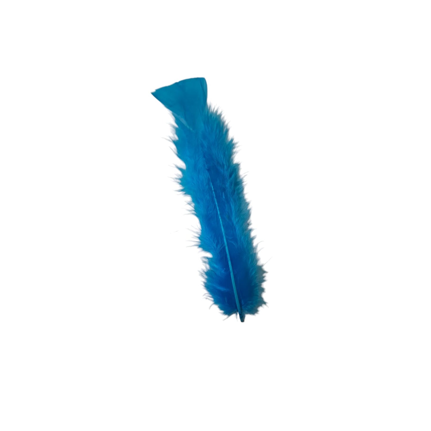 Turkey Feathers-1.75g Pack