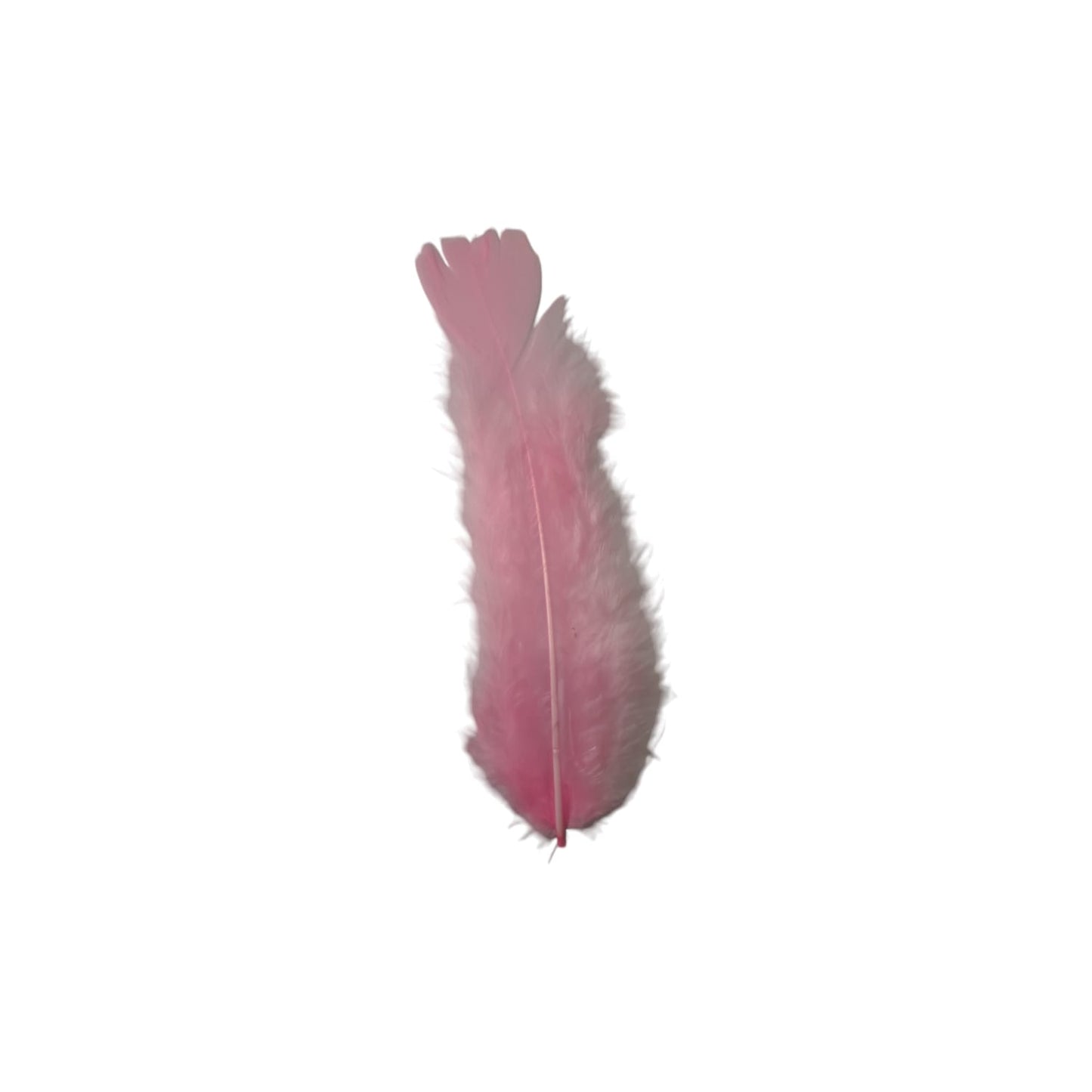 Turkey Feathers-1.75g Pack