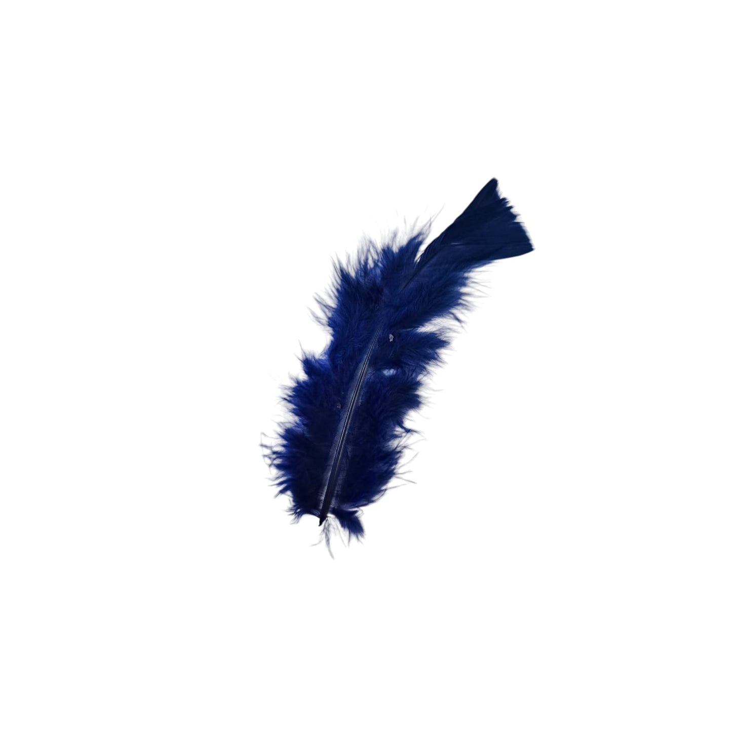 Turkey Feathers-1.75g Pack