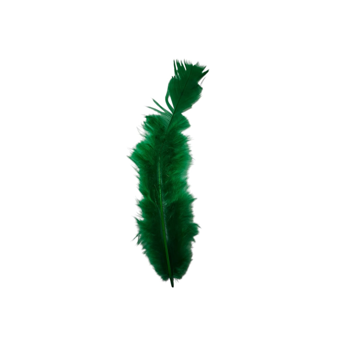 Turkey Feathers-1.75g Pack