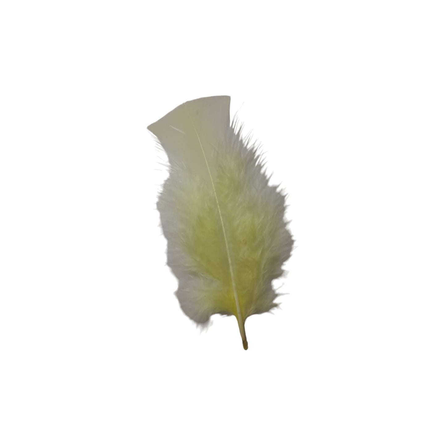 Turkey Feathers-1.75g Pack