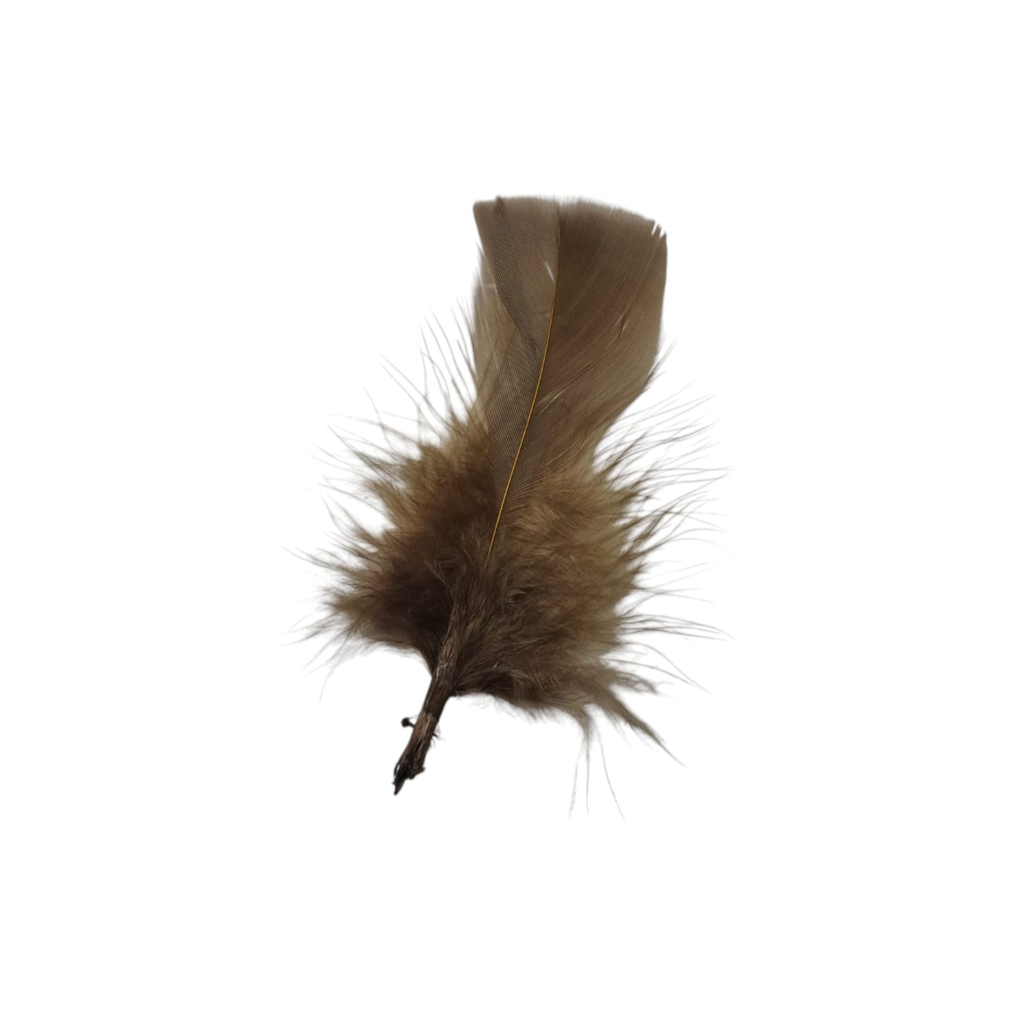 Turkey Feathers-1.75g Pack