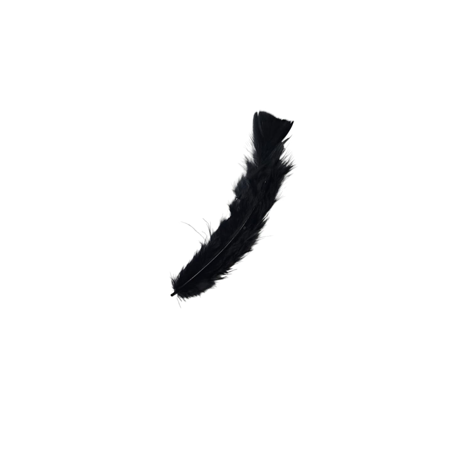 Turkey Feathers-1.75g Pack